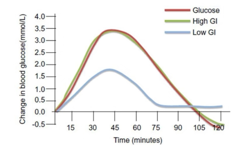 胰高血糖素：身体里的 “血糖急救员”
