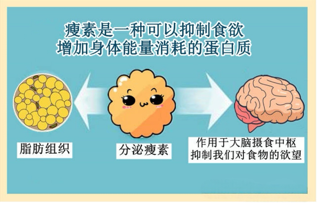 1770616999619123.jpg 微信图片_20260209133632_1581_13.jpg