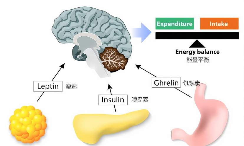 1770617034466814.jpg 微信图片_20260209134136_1582_13.jpg